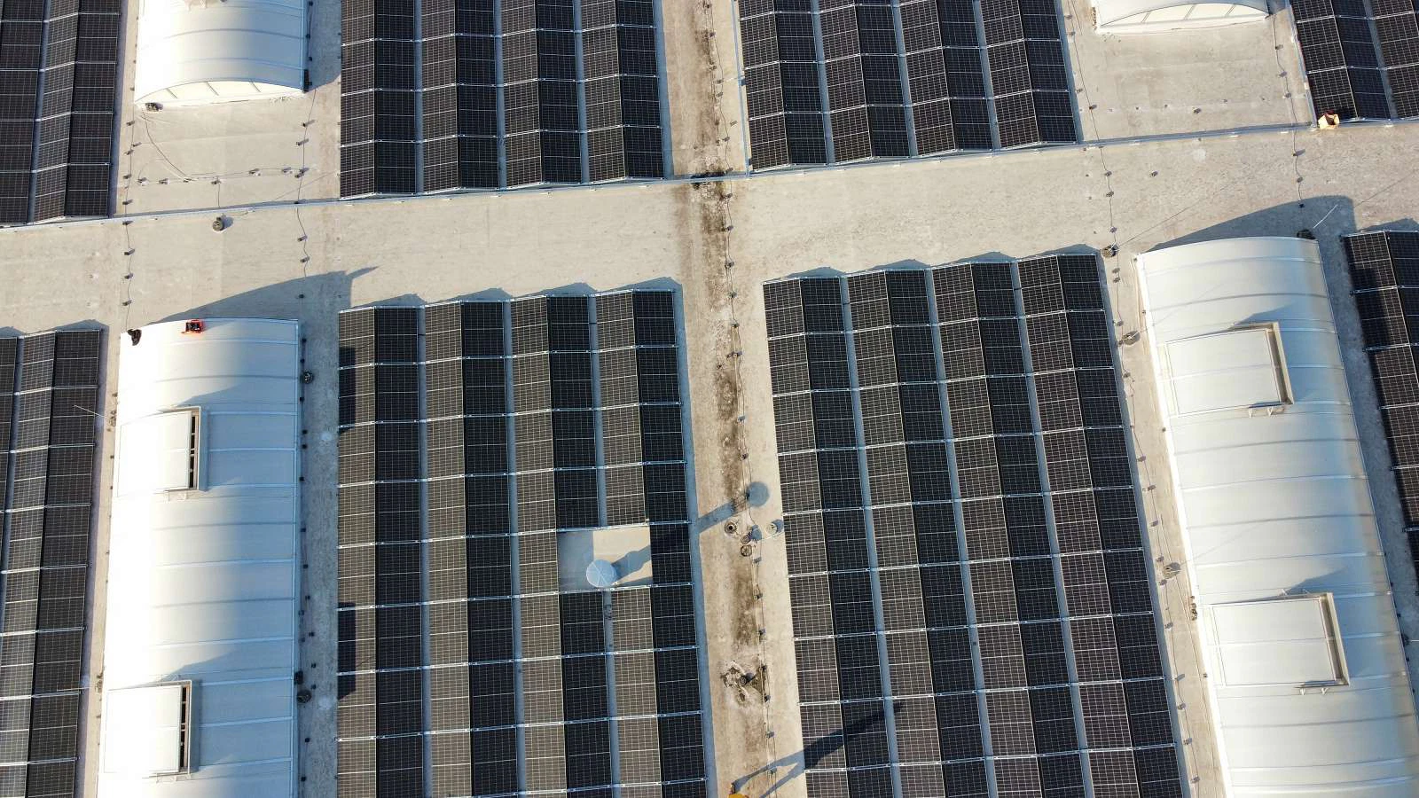 dji_export_1661842662241