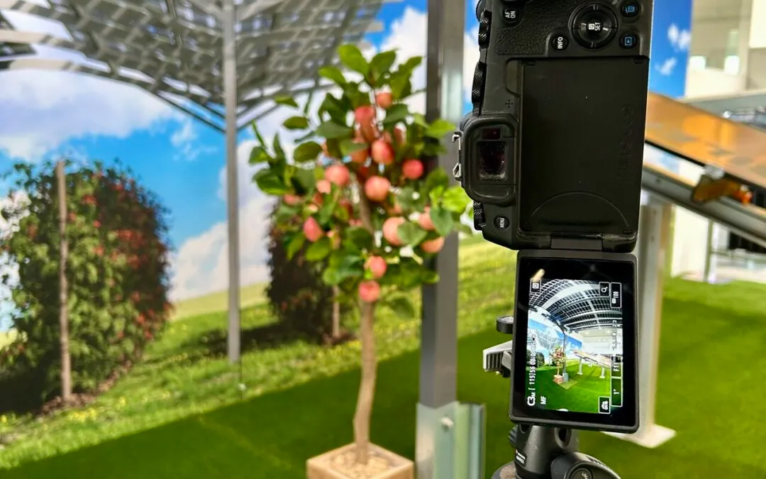 Die T.Welt bei Google Street View