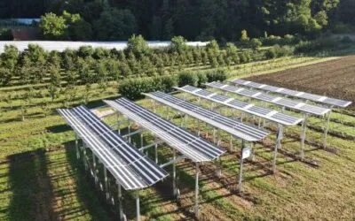 Agri-PV: Frequently asked questions