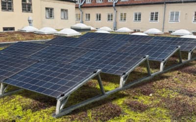 Photovoltaics on green roofs: advantages, legal requirements and technical planning at a glance
