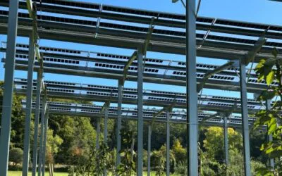 Agri-PV project process: 10 steps to an approved system